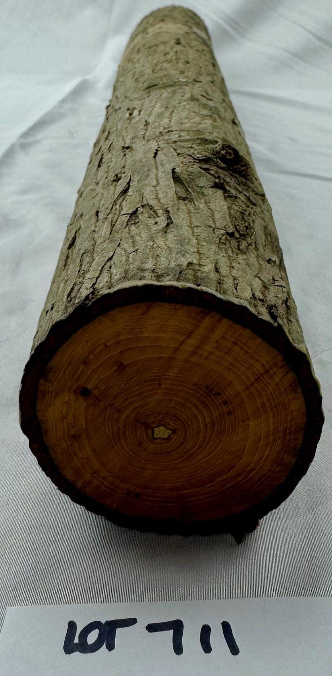 hickory-project-log-green-craft-wood-for-woodworking-carving-turning