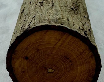 Hickory-projektstock, grönt hantverksvirke för träbearbetning, snidning, svarvning 59,5 x 6,5 cm