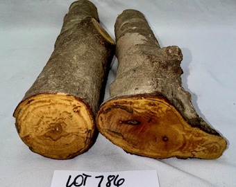 2-piece Spalted Maple project pack, 12.75 x 2.25 and 10.5 x 2 inches