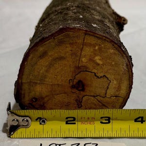 Lightly spalted Maple craft log for wood working, wood turning, wood carving, turning blanks, carving blanks, crafts or decoration