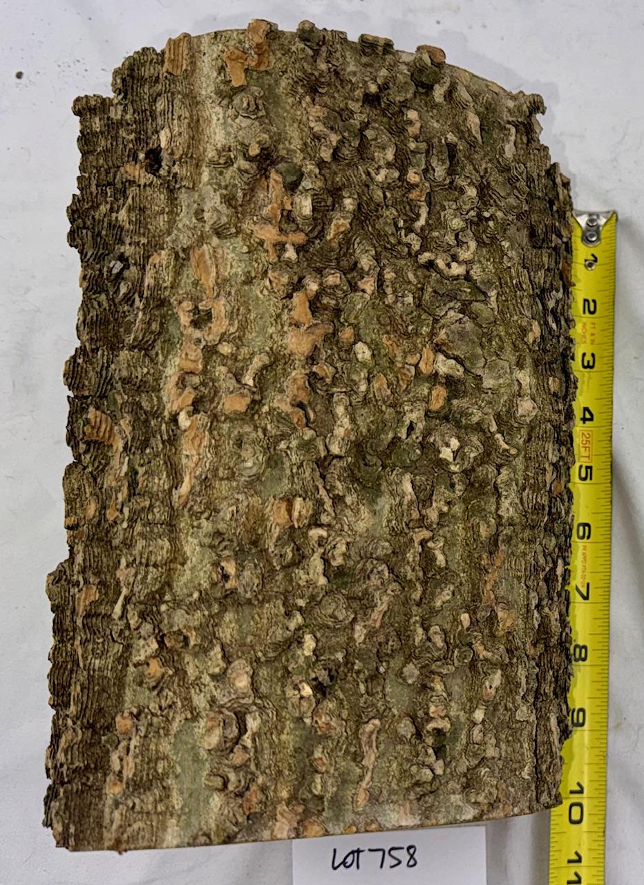 Hackberry Wood Project Log, Green Craft Log 9.75 X 6 Inches - Etsy ...