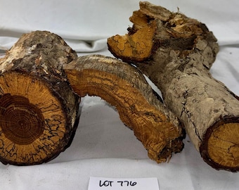 3-piece spalted White Oak wood project pack, various sizes