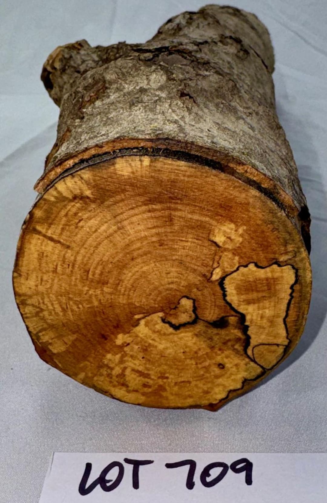 Spalted Maple Craft Log With Branch Junction, Woodworking, Carving ...