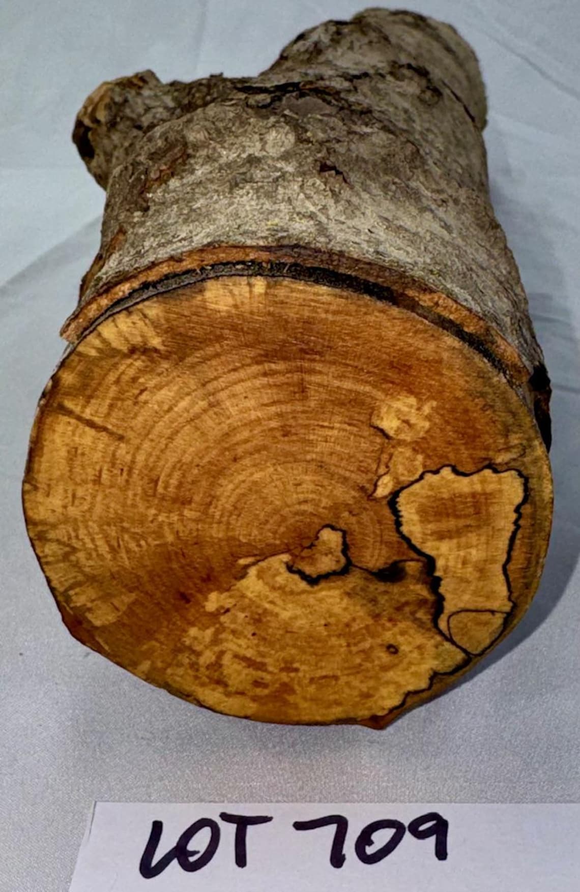 Spalted Maple Craft Log With Branch Junction, Woodworking, Carving ...