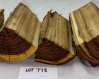 4-piece Black Locust wood project pack, 6.5 inches long green wood