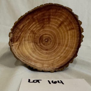 One piece Ash project wood/craft log for carving blanks, turning blanks, woodturning, woodworking, crafts or decoration