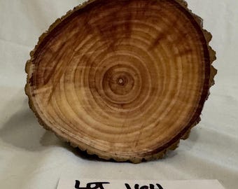 Ash Wood Carving Blank, Project Log (8.74 x 4.25 inch)