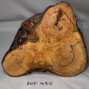 Gorgeous spalted Maple craft log with double branch junction, project wood for woodworking, wood turning, wood carving, blanks or decoration
