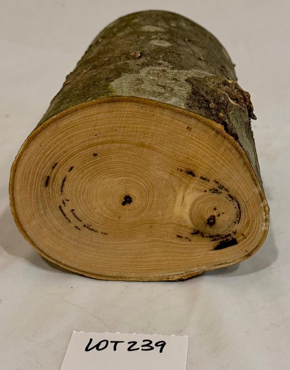 Hackberry Lumber Pictures