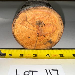 One piece spalted Maple craft log for woodturning, turning blanks, woodworking, craft projects or decoration
