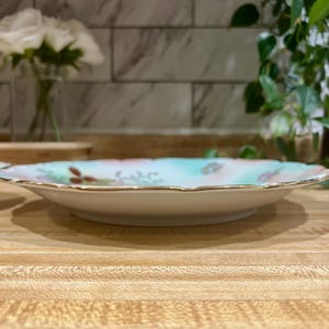 Vintage Bavarian Plate and Bowl Schumann Arzberg Bavaria Porcelain Wild ...