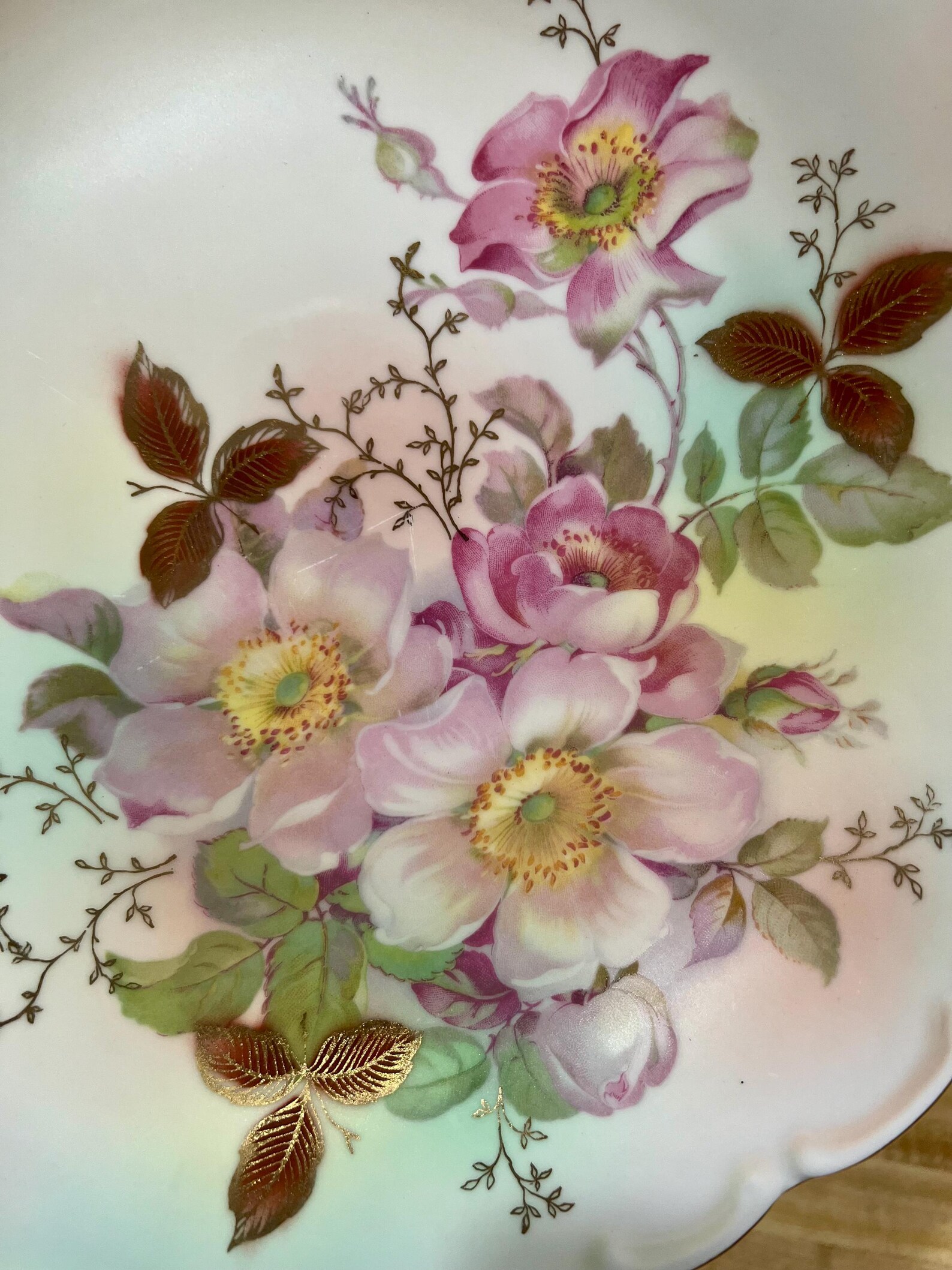 Vintage Bavarian Plate and Bowl Schumann Arzberg Bavaria Porcelain Wild ...