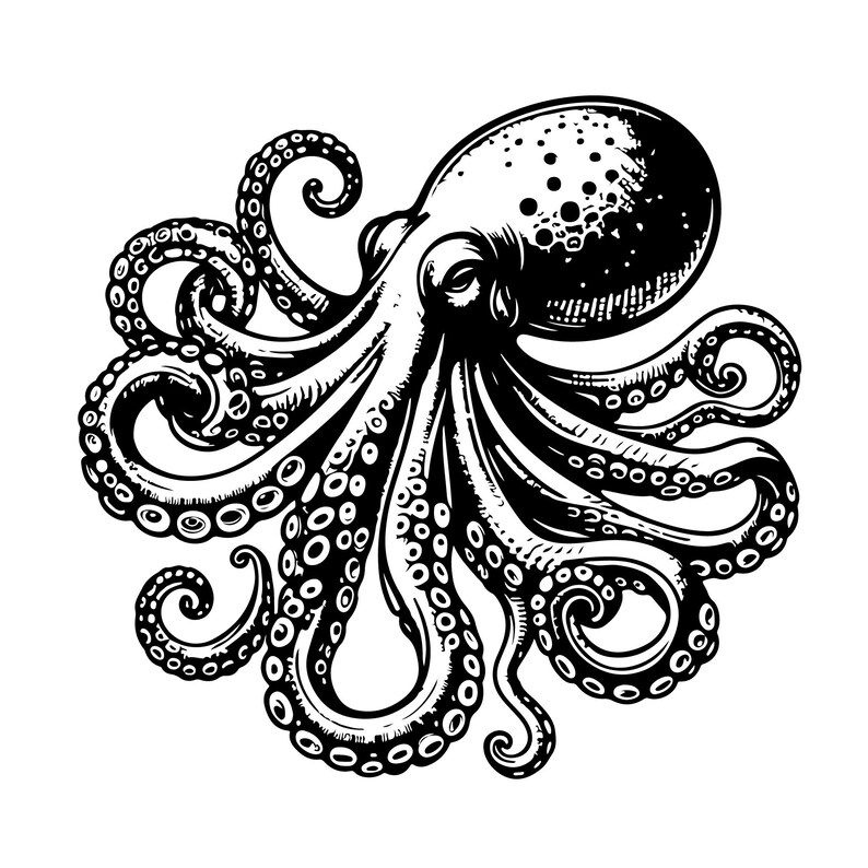 Vector Image of Octopus on White Background - Etsy