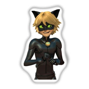 Cat Noir Custom Pillow