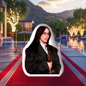 3D-kussen Billie Eilish