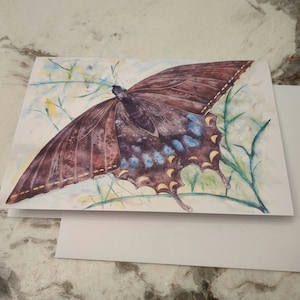 Cartão de felicitações em branco de borboleta aquarela rabo de andorinha