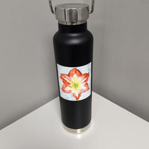 Watercolor Red Amaryllis Flower Vinyl Sticker
