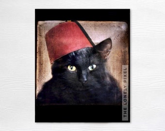 Shriner Black Cat Photography Print - Animal Portrait - Fez Felix