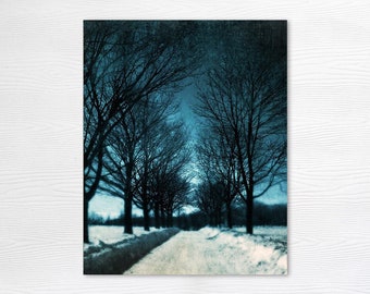 Montreal Photo Art Print - Winter Mont Royal - Quebec - Blue Nature Trees - 8x10 - Winter's Bone