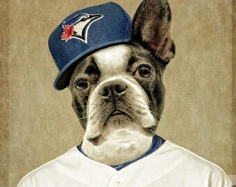 Toronto Blue Jays MLB fans Pet Portraits – Picture Parcel