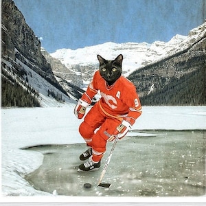 Calgary Flames Photography Print - Hockey Cat Art - Alberta - Black Cats - &quot;Cat&quot;gary Flames