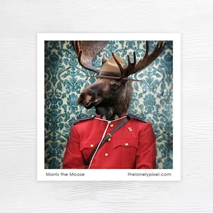 Peut inclure: Un élan portant un uniforme rouge avec un chapeau brun et un badge doré. L'élan se tient devant un fond à motifs bleus et blancs. Le texte "Morris the Moose" est en bas à gauche et "thelonelypixel.com" est en bas à droite.