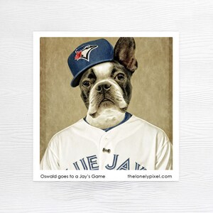 Imán para nevera - Gato de béisbol de los Blue Jays de Toronto - Relleno de calcetín