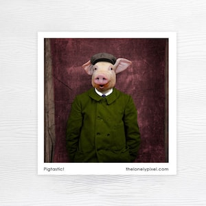 Fridge Magnet - Pig - Stocking stuffer - House warming gift - Farm Animals