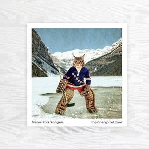 Aimant pour réfrigérateur - Rangers de New York - Chat hockey - Cadeaux pour les moins de 10 ans