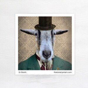Fridge Magnet - Goat - Stocking Stuffer - Housewarming gift