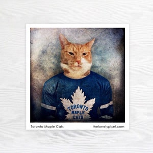 Fridge Magnet Toronto Maple Leafs Hockey Orange Cat Stocking Stuffer image 1