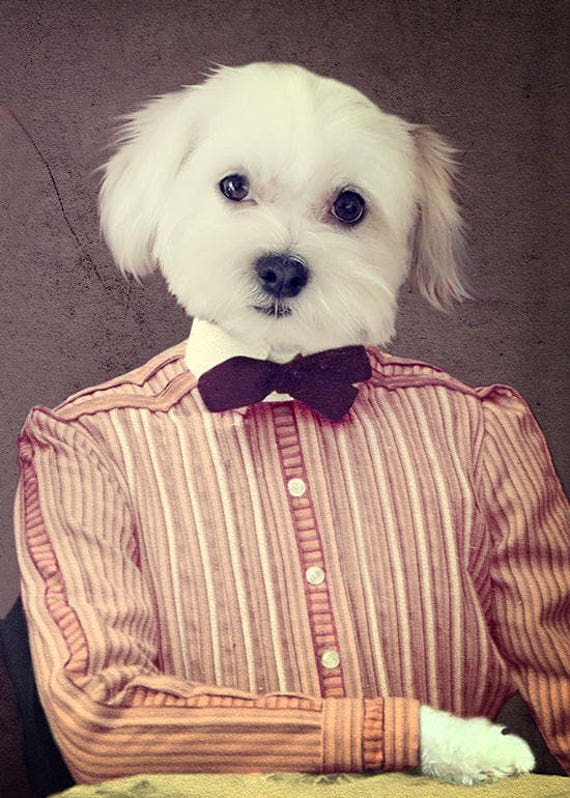 Shih Tzu Gifts Art Girl Dog Artwork Pet Portrait Animal Art Etsy