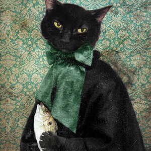 Rococo Cat Photo Print, Black Cat Holding Fish, Animal Art Photography, 5x7, 8x10 Case of the Missing Fish 5x7 inches