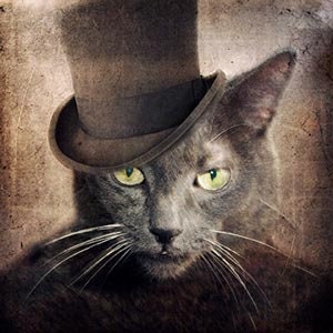 May include: A gray cat wearing a black top hat. The cat has green eyes and a serious expression.