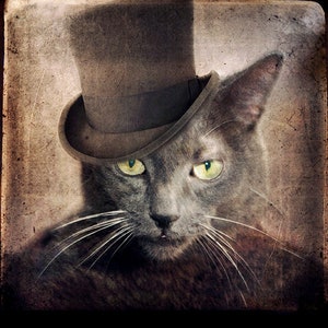 May include: A gray cat wearing a black top hat with a brown band. The cat has green eyes and white whiskers. The background is a textured, faded brown.