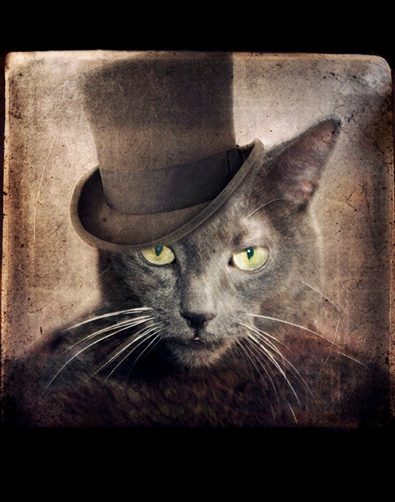 May include: A gray cat wearing a black top hat with a brown band. The cat has green eyes and white whiskers. The background is a textured, faded brown.