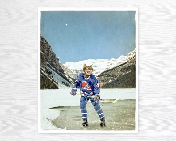 Quebec Nordiques Cat Print Art Lake Louise Hockey Gifts Sports Etsy