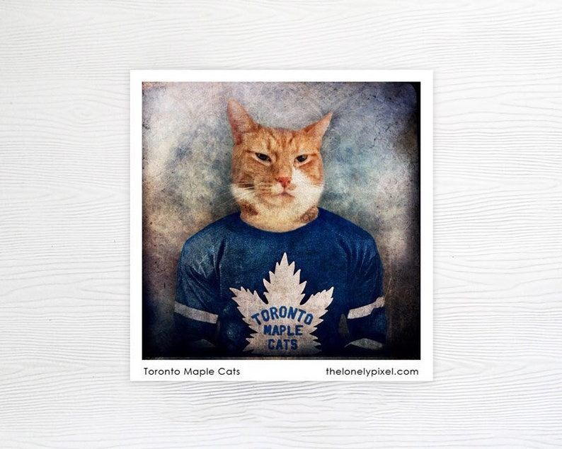 Fridge Magnet Toronto Maple Leafs Hockey Orange Cat Stocking Stuffer image 1