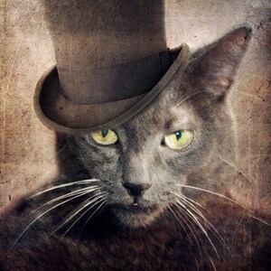 May include: A gray cat wearing a brown top hat with a black band. The cat has green eyes and white whiskers. The background is a textured, faded brown.