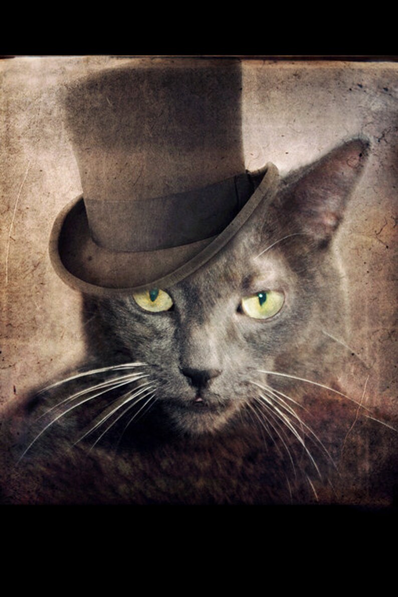 May include: A gray cat wearing a brown top hat with a black band. The cat has green eyes and white whiskers. The background is a textured, faded brown.