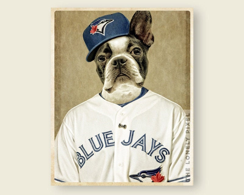 Toronto Blue Jay Dog 