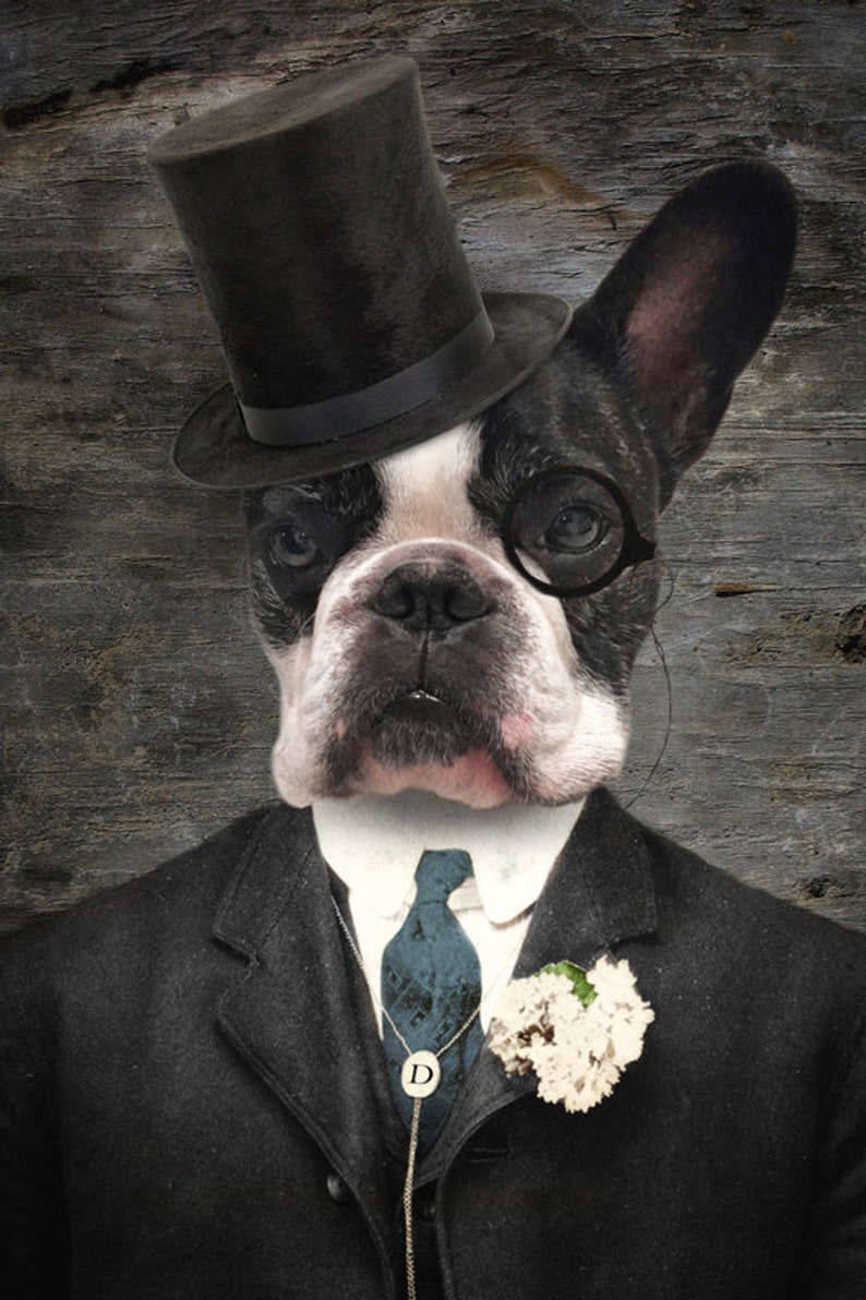 Boston Terrier Wall Print Top Hat and Monocle Dog Portrait - Etsy UK