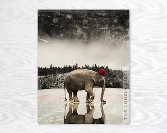 Elephant Art Photography Print - Animals - Metallic Photo Paper - Master of Ceremonies