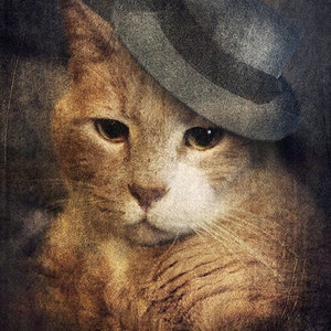 Orange Cat Photo Wall Art Ginger Gangster Kitty Vinnie Valentino 5x7 inches