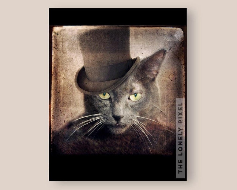 May include: A gray cat wearing a brown top hat with a black band. The cat has green eyes and is looking directly at the camera. The background is a vintage-style photo frame.