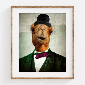 Camel Photo Wall Art - Humphrey&#39;s Night Out