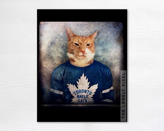 toronto maple leafs cat jersey