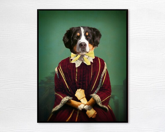 done deal bernese mountain dog