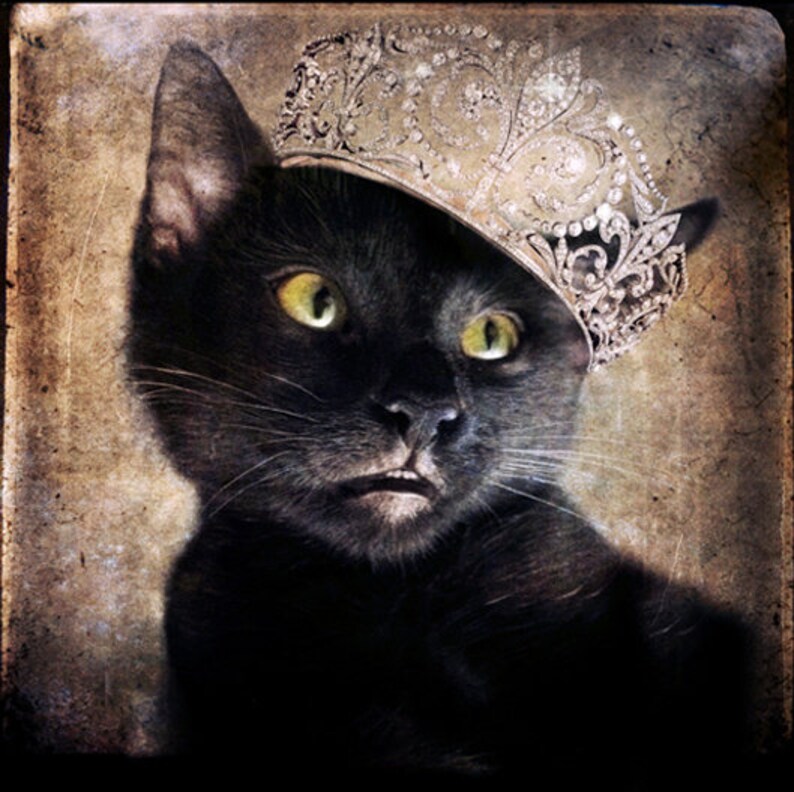 Рисунок кот с короной