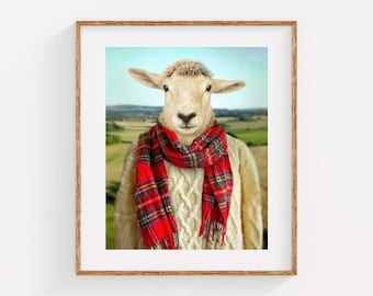 Sheep Wall Art Photography Print - Bea goes on a Country Hike